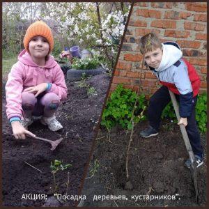 Подробнее о статье Экологический флешмоб