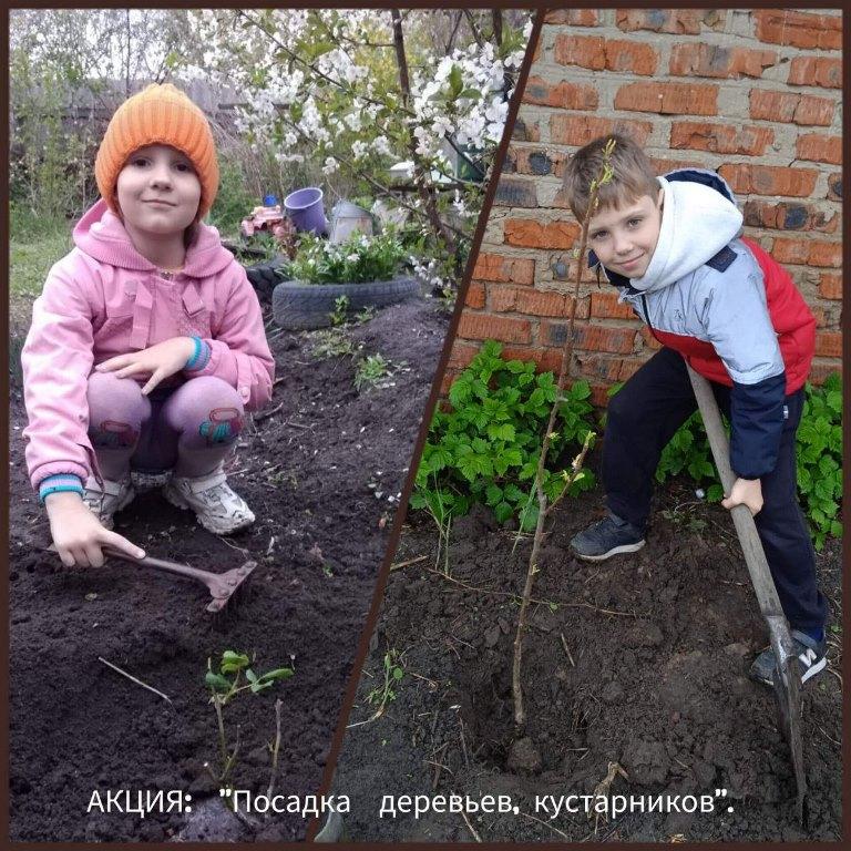 Вы сейчас просматриваете Экологический флешмоб